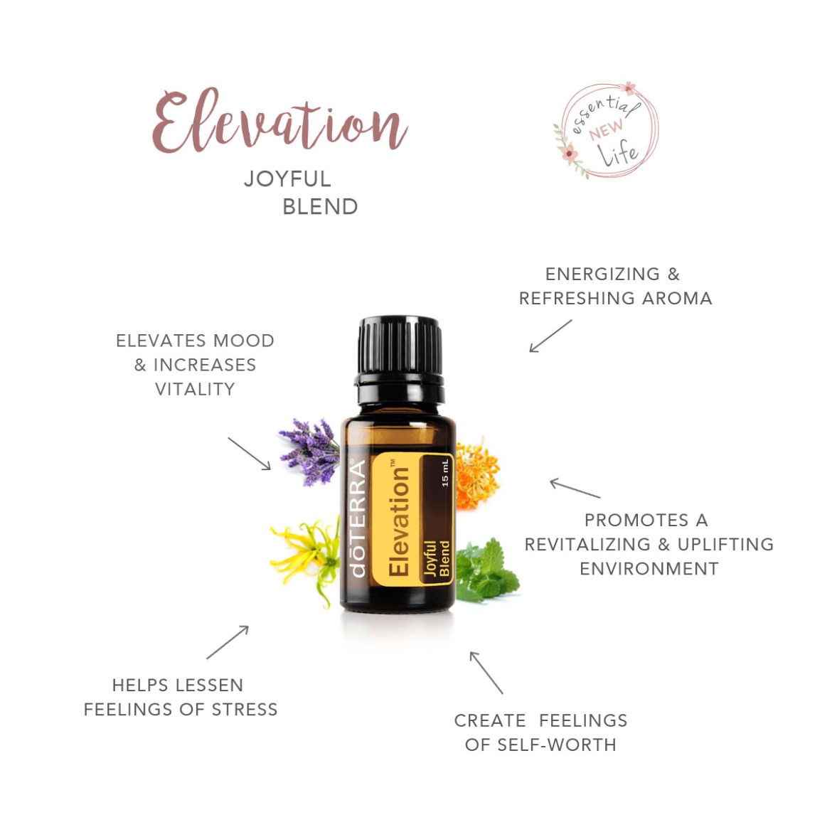 Essential New Life - doTERRA Elevation Essential Oil