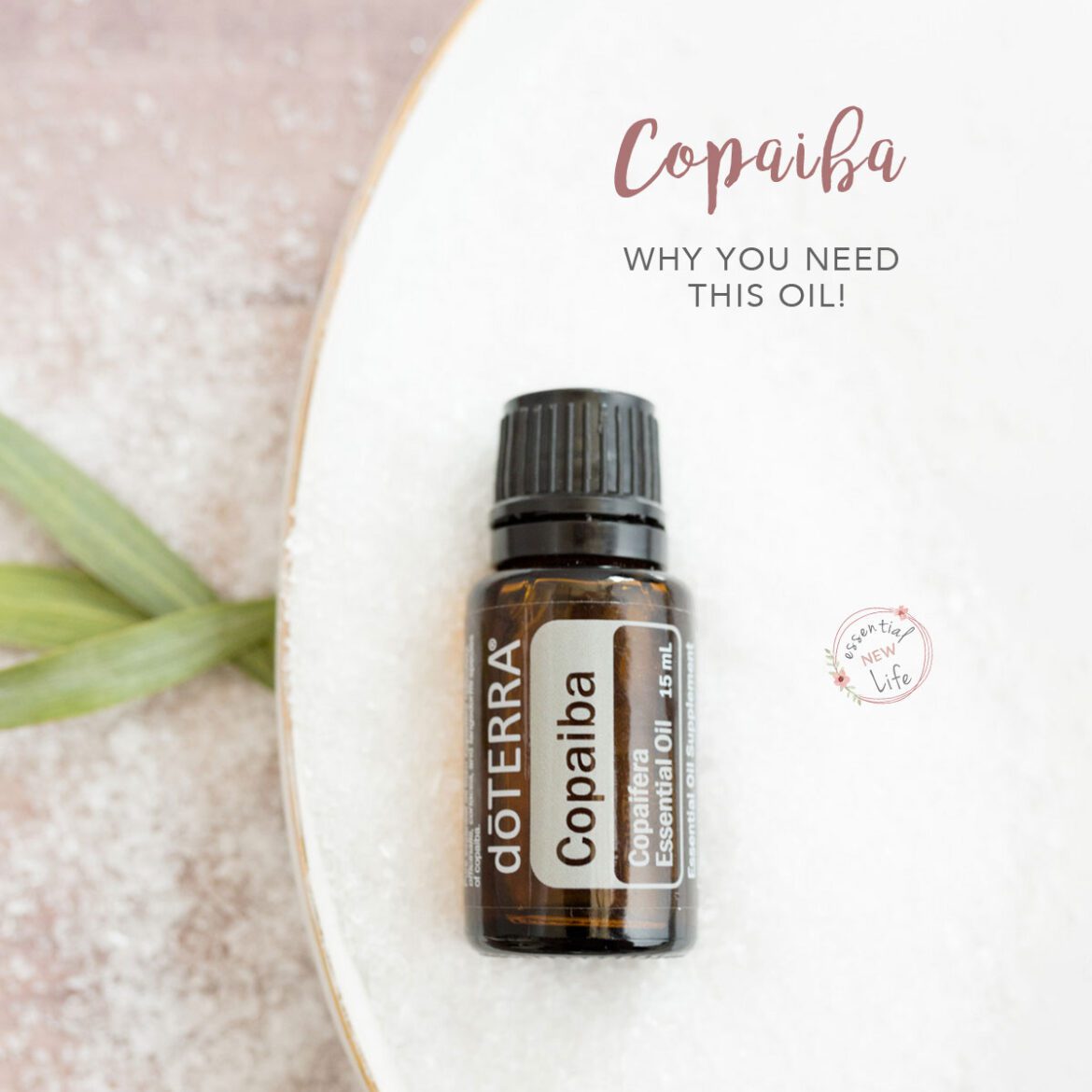 Essential New Life | Copaiba Why you Need This Oil doTERRA Essential Oils