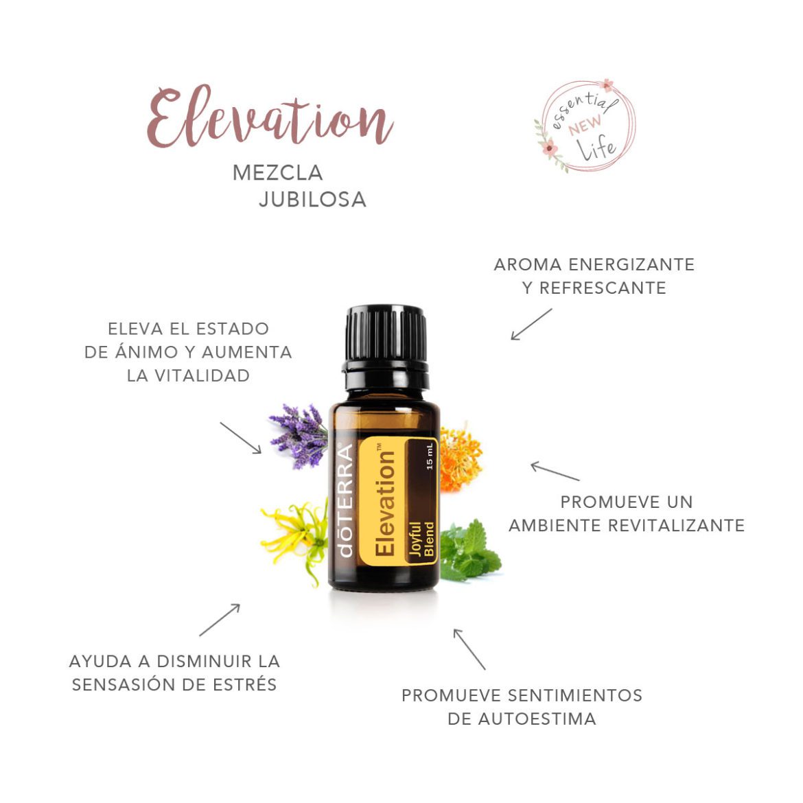 Essential New Life | Aceites Esenciales doTERRA - Elevation - Mezcla Jubilosa