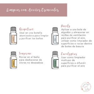 Essential New Life | Limpiar con Aceites Esenciales doTERRA