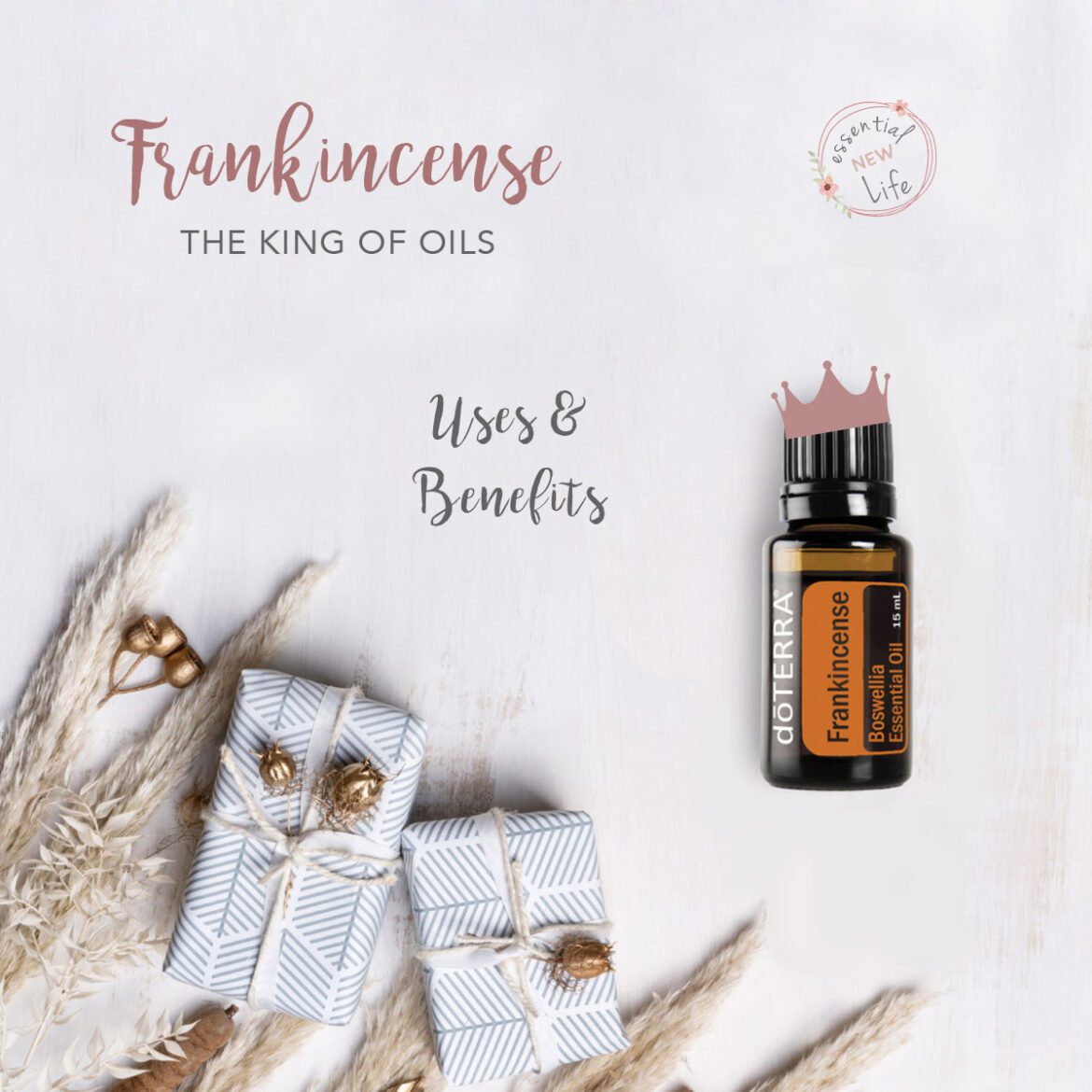 Essential New Life | Frankincense The King of Oils doTERRA Essential Oils