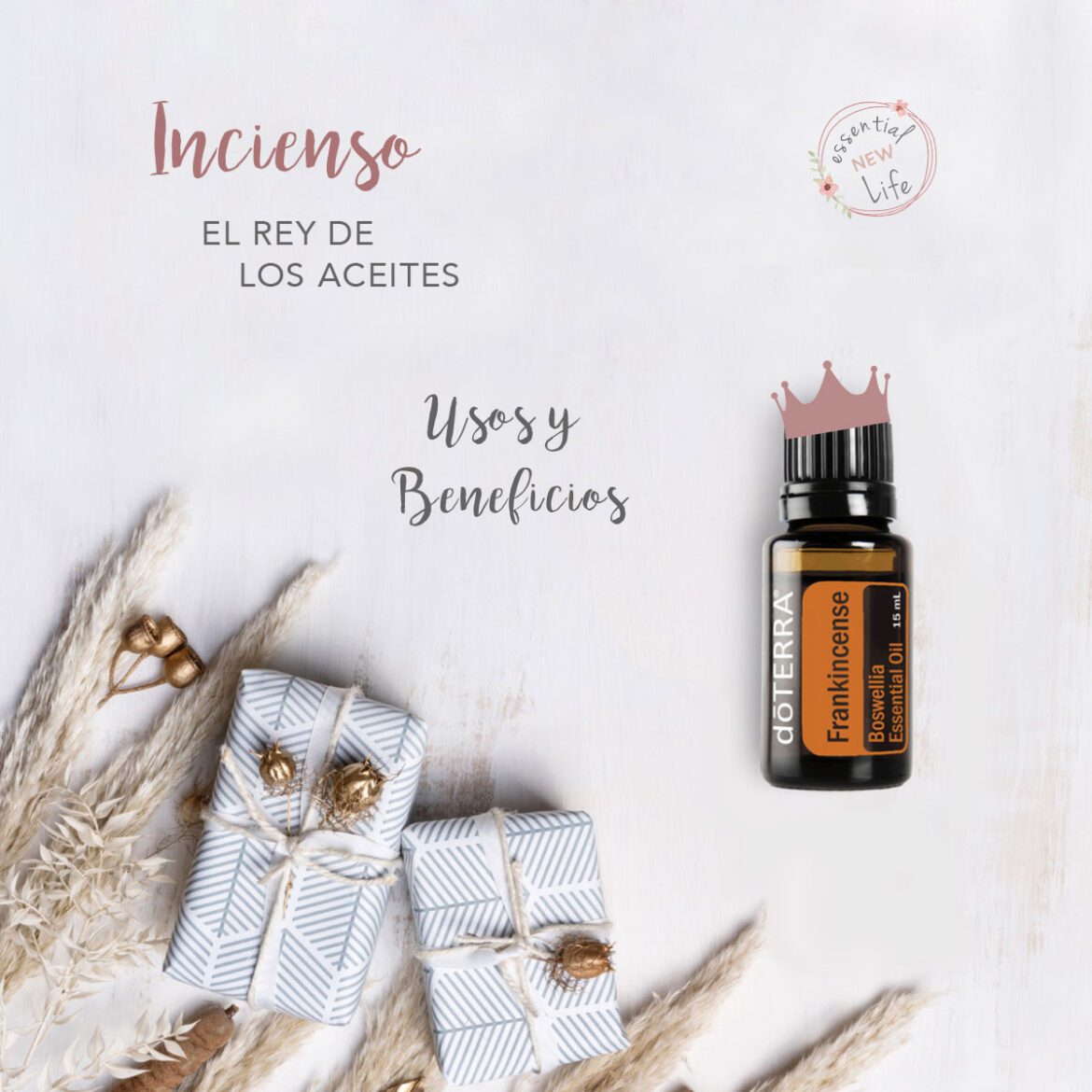 Essential New Life en Español | Incienso el Rey de los aceites esenciales doTERRA