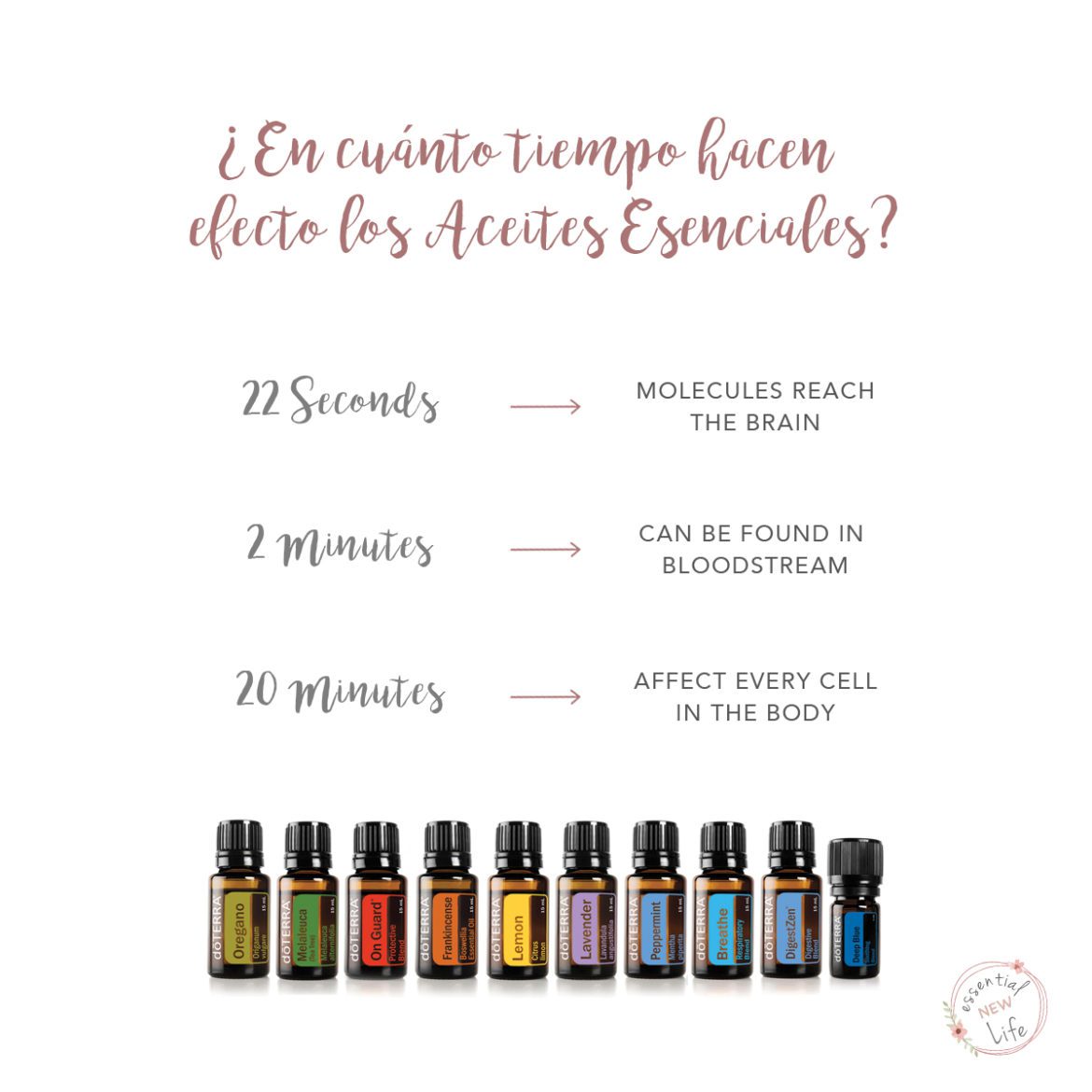 Essential New Life | En cuanto tiempo actúan los aceites esenciales