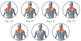 Essential New Life | Donde Aplicar Parche IceWave Lifewave