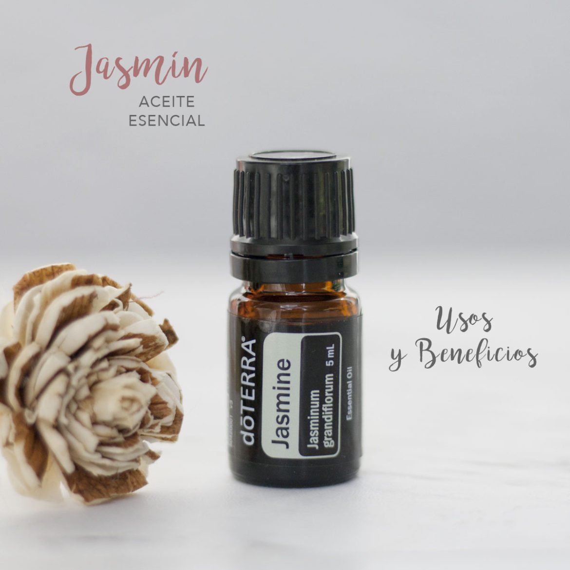 Essential New Life | doTERRA Aceite Esencial de Jasmín