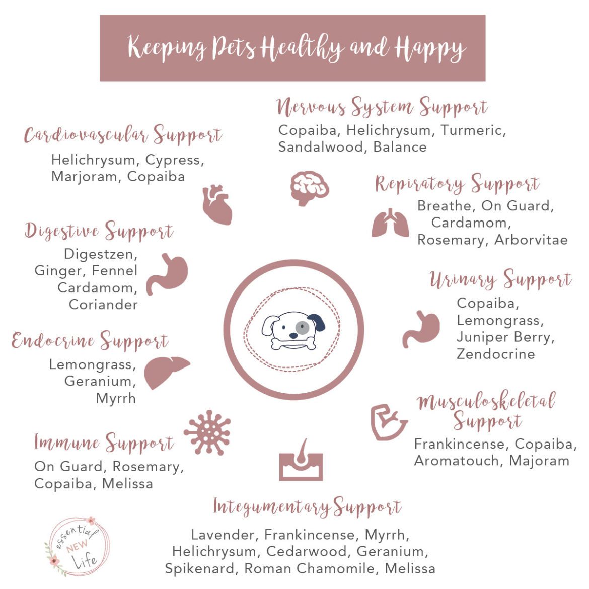 Essential New Life - Keeping Pets Healthy and Happy