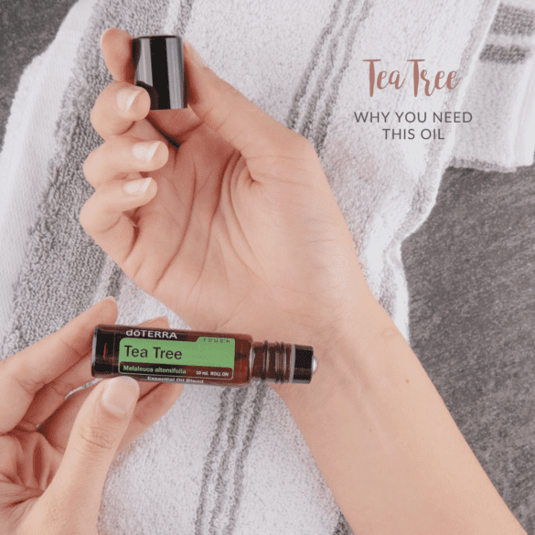 Essential New Life | Tea Tree Why You Need This Oil doTERRA essential oil