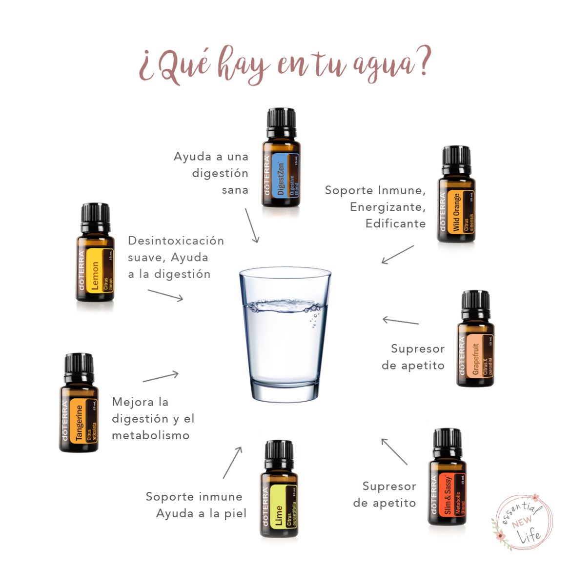 Essential New Life | Que hay en tu agua - Aceites Esenciales doTERRA