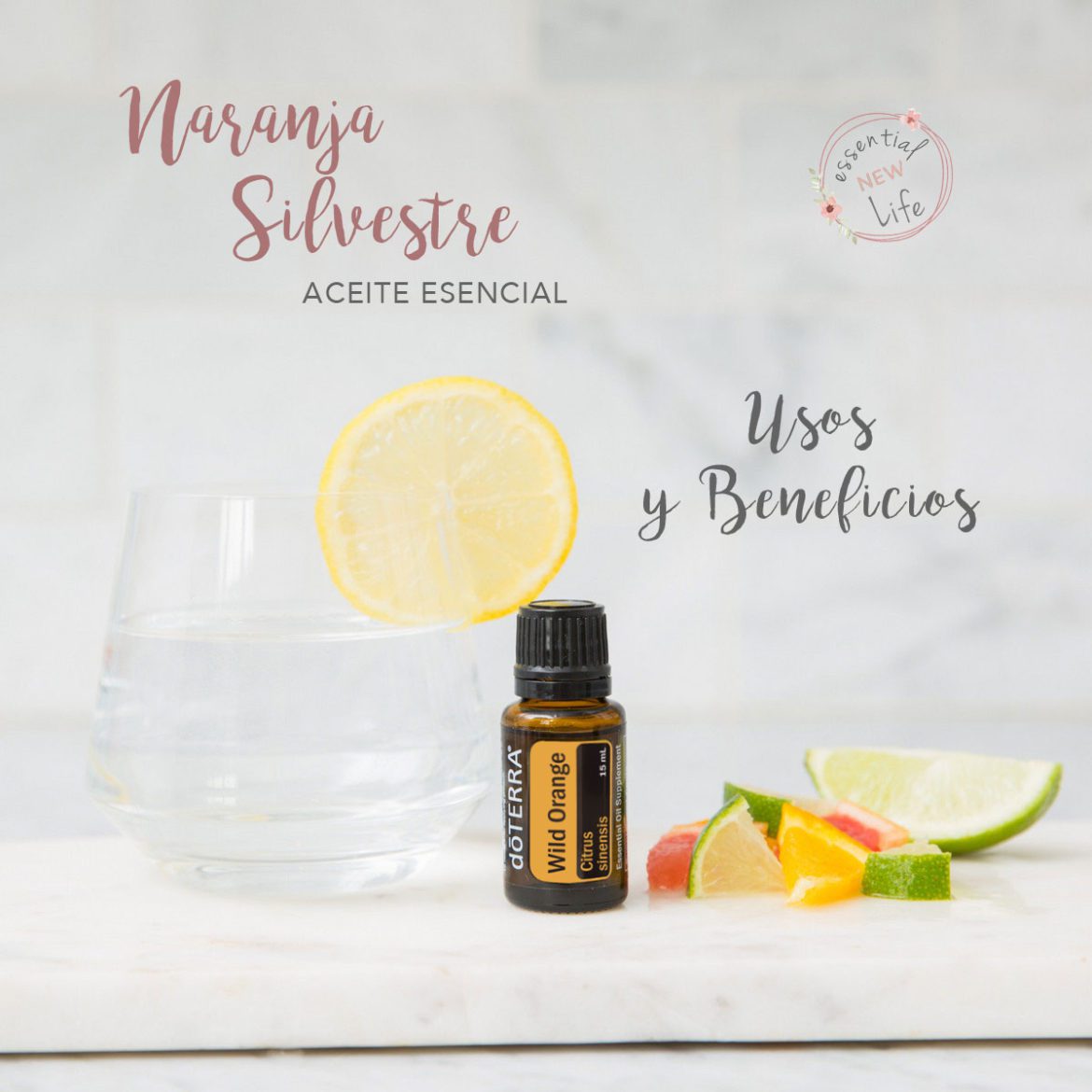 Essential New Life en Español | Aceite Esencial de Naranja Silvestre doTERRA